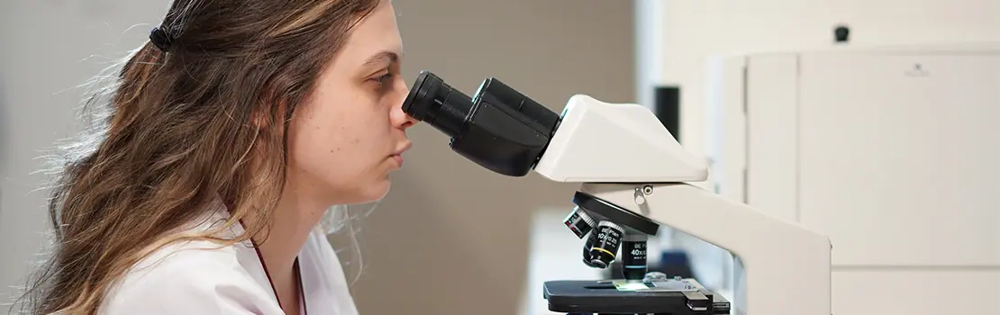 Pendik - Dostupnost usluge 24/7